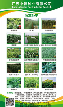 深耕苗木種植，專(zhuān)業(yè)咨詢服務(wù)助力綠色產(chǎn)業(yè)發(fā)展