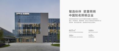 全視角解析 產(chǎn)品價(jià)格、參數(shù)、圖片與技術(shù)服務(wù)的綜合評(píng)估